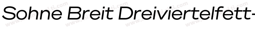 Sohne Breit Dreiviertelfett字体转换
